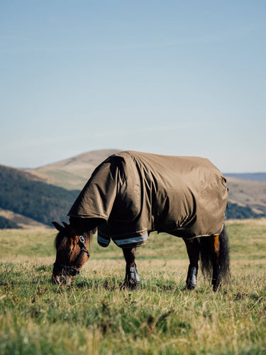 LeMieux Arika Alpine Ripstop 50g Turnout Rug