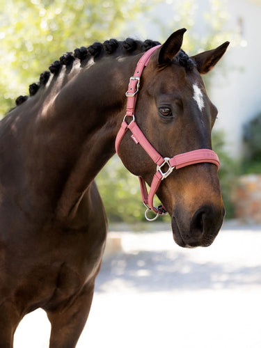 LeMieux Essence Headcollar Rosewood