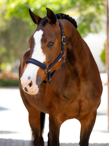 LeMieux Essence Headcollar Navy