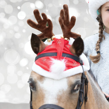 Buy the Equetech Santa Glitter Snowflake Hat Horse Bonnet | Online for Equine