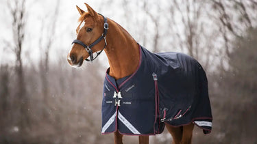 LeMieux 350g Kudos Turnout Rug Navy