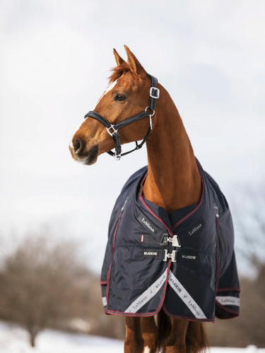 LeMieux 350g Kudos Turnout Rug Navy