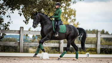 LeMieux Hunter Green Loire Memory Dressage Square