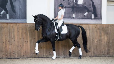 LeMieux White Loire Memory Dressage Square