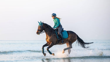 LeMieux ProSport Peacock Suede Dressage Square