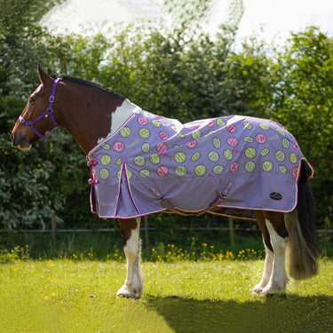 Gallop Sweet Treats Lightweight Standard Neck Turnout Rug