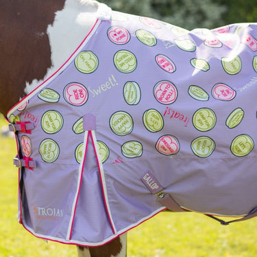 Gallop Sweet Treats Lightweight Standard Neck Turnout Rug