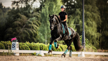 Buy LeMieux Peacock Loire Memory Dressage Square| Online for Equine