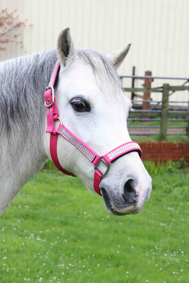 Gallop Diamante Padded Headcollar with Free Matching Leadrope