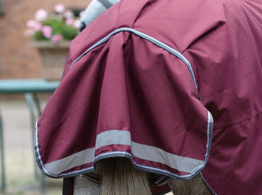 Buy the WeatherBeeta ComFiTec Plus Dynamic II 100g Lightweight Detachable Neck Turnout Rug | Online for Equine