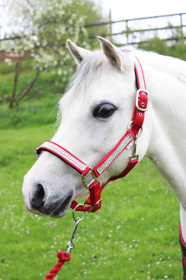 Gallop Diamante Padded Headcollar with Free Matching Leadrope