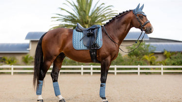 Buy LeMieux Ice Blue Loire Memory Dressage Square| Online for Equine