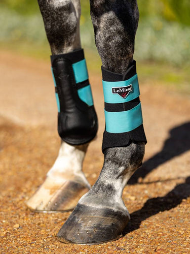 Buy LeMieux Azure Grafter Brushing Boots - X Large| Online for Equine