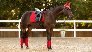 LeMieux ProSport Chilli Red Suede Dressage Square