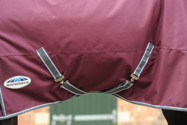 Buy the WeatherBeeta ComFiTec Plus Dynamic 220g Mediumweight Combo Neck Turnout Rug | Online for Equine