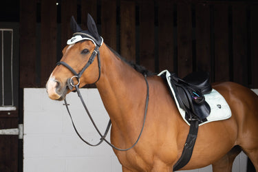 Buy Woof Wear Vision Pistachio Fly Veil | Online for Equine